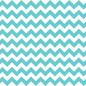 Meet your Posher, Jesse